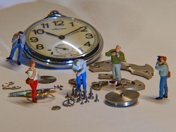 »Faszinierend« von Thomas Brandl (Pl. 1)