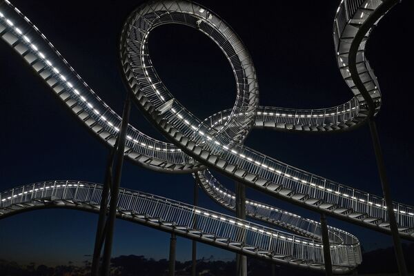 »Tiger And Turtle« von Stanislaus Gefrörer (Pl. 11)