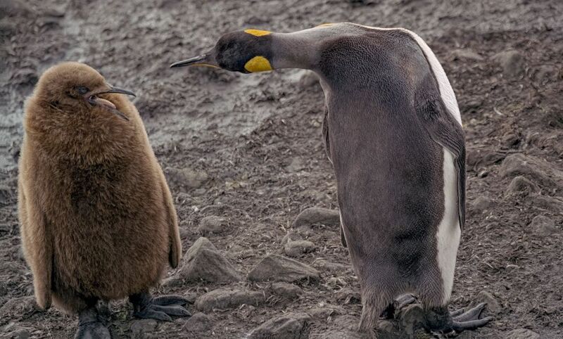 Das habe ich aber gesehen!