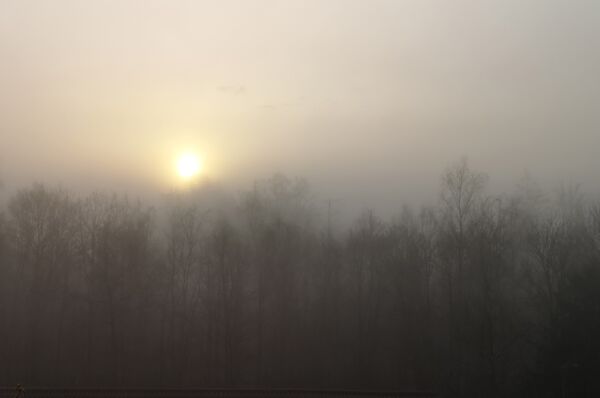 »Nebel« von Gisa Bade (Pl. 14)