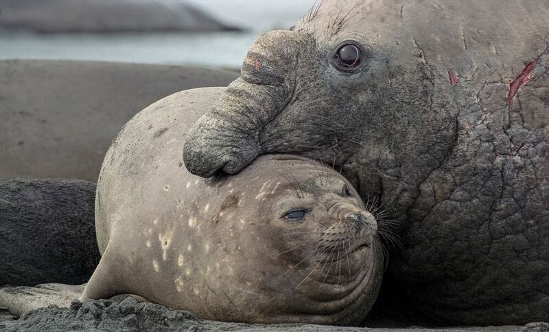 Besitznahme (2)