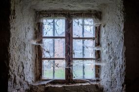 Platz 2: Peter Czemmel »Spinnen Fenster«