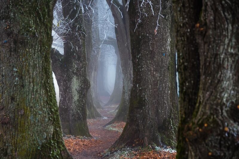 Holzkirchen Nebel