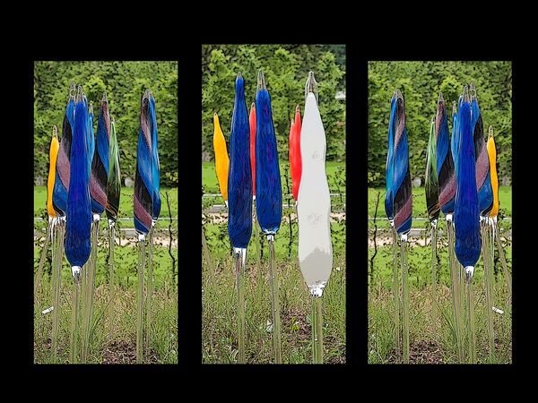 Bild-21