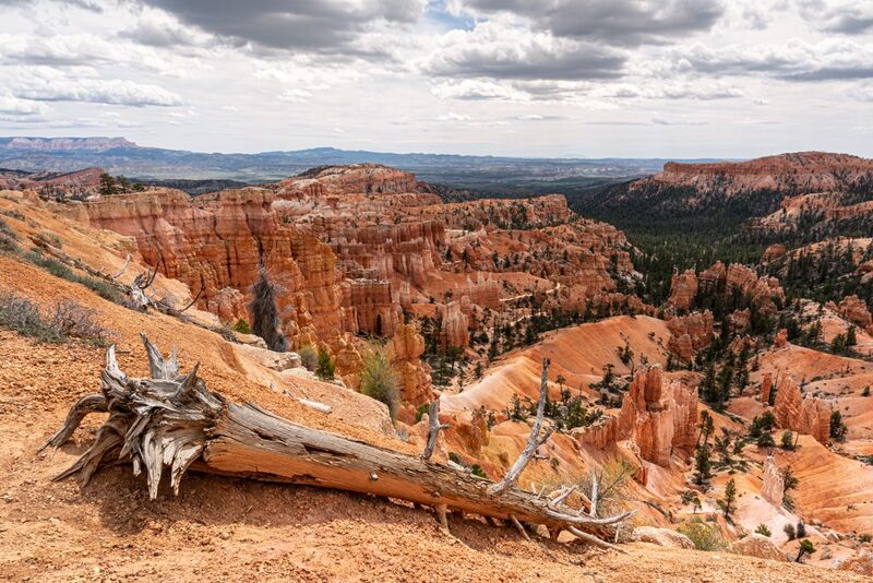 Bryce-Canyon
