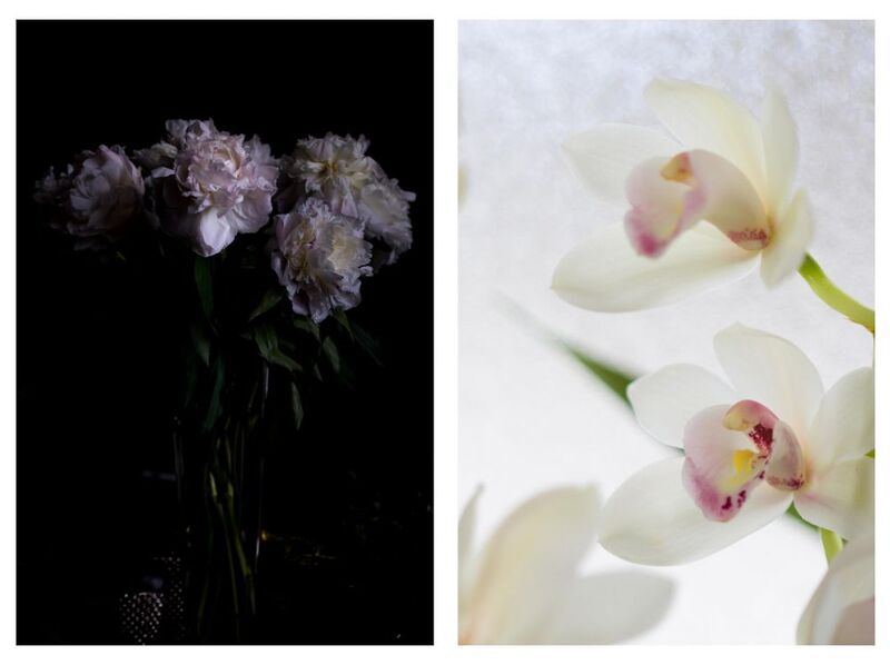 Diptychon - Blumen im Schatten und Licht